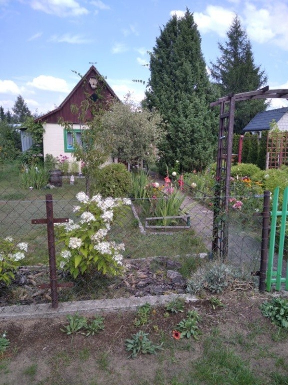 Sprzedam działkę ogrodniczą Rod Bemowo