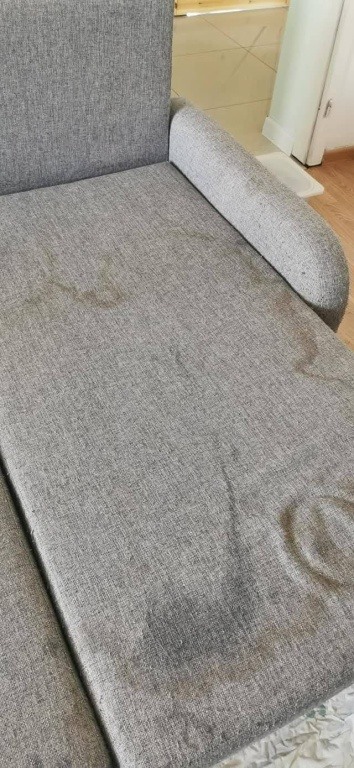 usługi sprzątające, mycie okien,pranie tapicerki