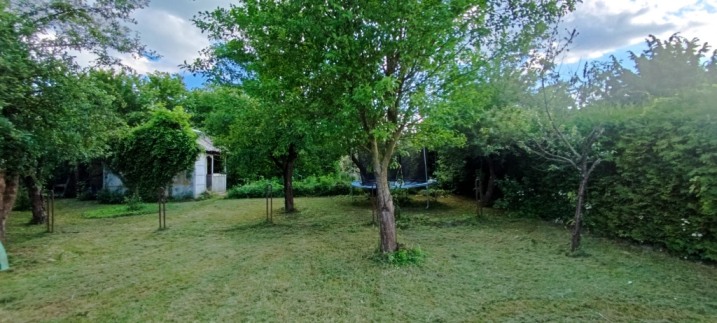 Sprzedam działkę ROD Energetyk - 300 m². lub 600 m