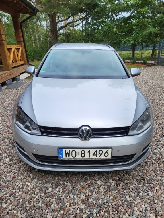 golf 7