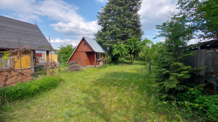 Działka ROD Czeczotka Dwie połączone łącznie 600m2