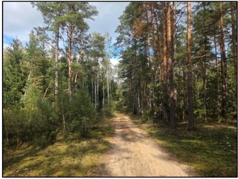 Baranowo - sprzedam działkę leśną nr1087 pow.1.92ha